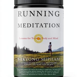 Tibetan Buddhism Meditation Guide by Harmony-0